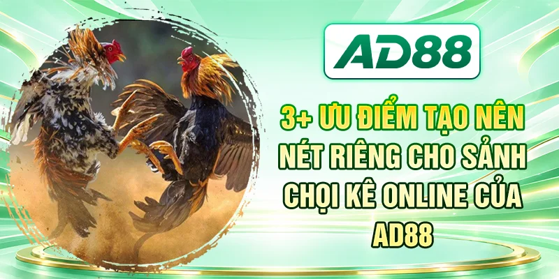 3+ ưu điểm tạo nên nét riêng cho sảnh chọi kê online của AD88