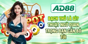Bạch Thủ Là Gì? Thuật Ngữ Quan Trọng Bạn Cần Bỏ Túi