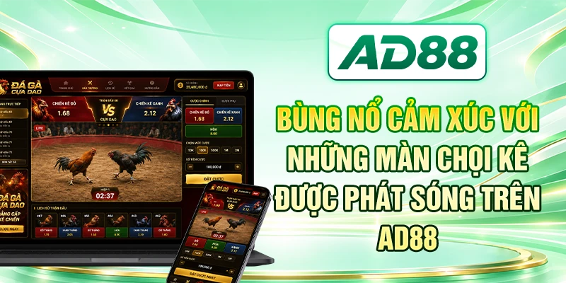 Bùng nổ cảm xúc với những màn chọi kê được phát sóng trên AD88