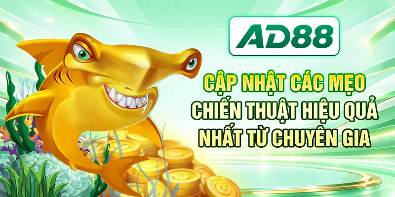 Cập nhật các mẹo, chiến thuật hiệu quả nhất từ chuyên gia