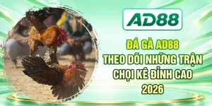 Đá Gà AD88 - Theo Dõi Những Trận Chọi Kê Đỉnh Cao 2026