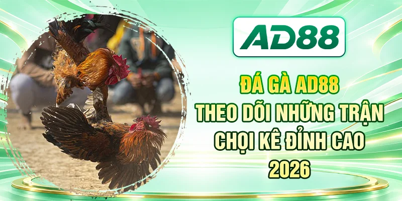 Đá Gà AD88 - Theo Dõi Những Trận Chọi Kê Đỉnh Cao 2026