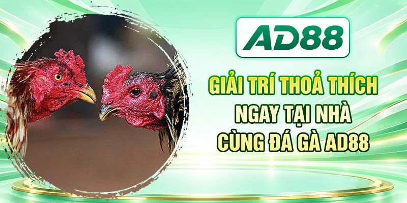 Giải trí thoả thích ngay tại nhà cùng đá gà AD88