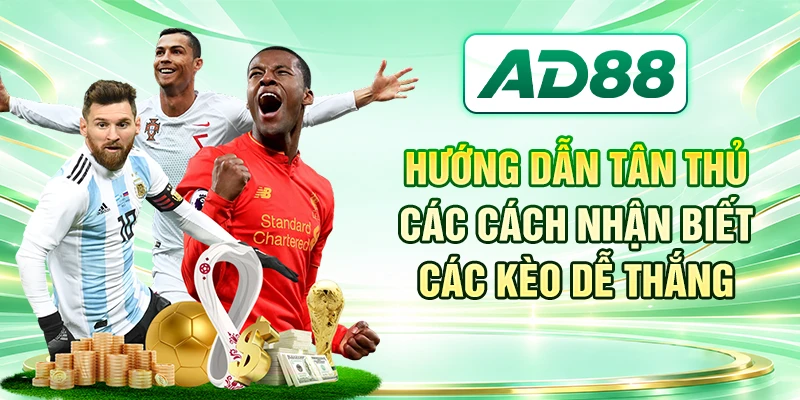 Hướng dẫn tân thủ các cách nhận biết các kèo dễ thắng