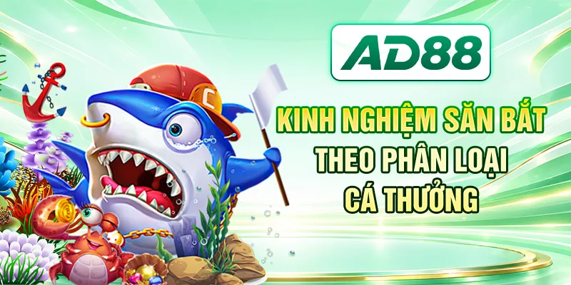 Kinh nghiệm săn bắt theo phân loại cá thưởng