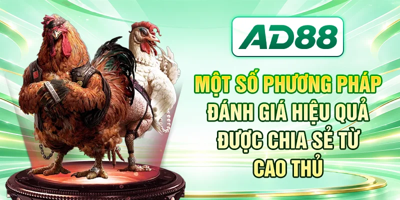 Một số phương pháp đánh giá hiệu quả được chia sẻ từ cao thủ