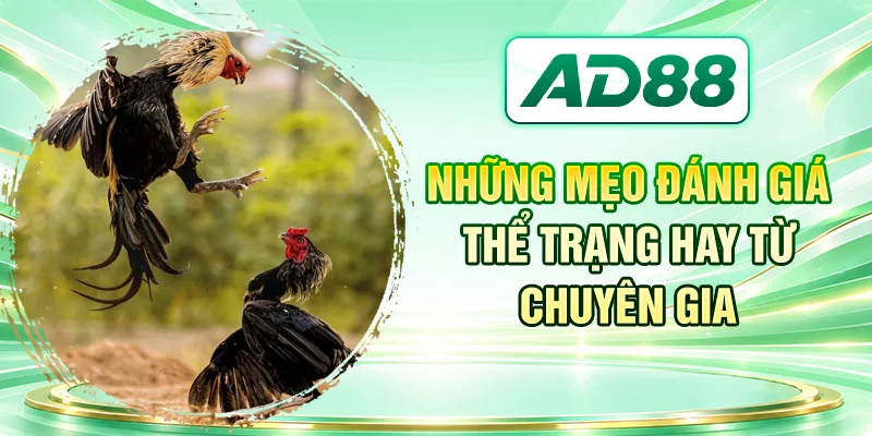 Những mẹo đánh giá thể trạng hay từ chuyên gia