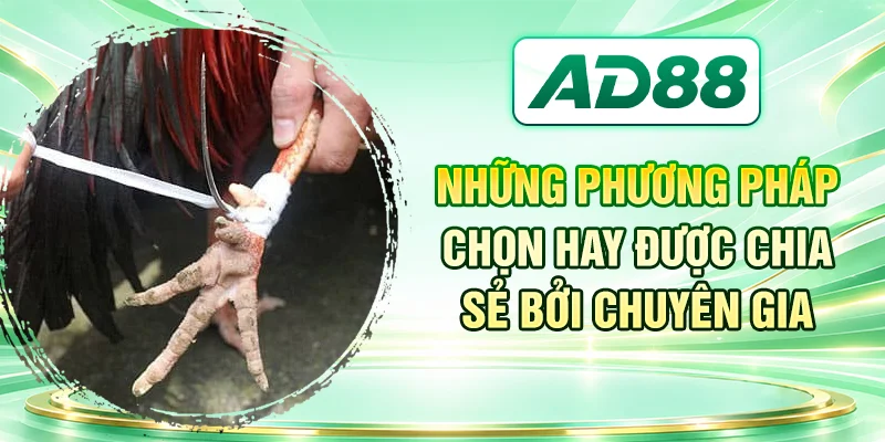 Những phương pháp chọn hay được chia sẻ bởi chuyên gia
