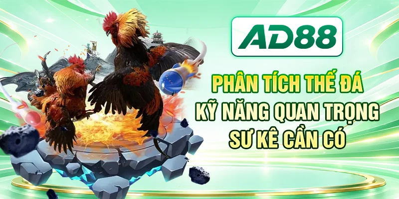 Phân Tích Thế Đá - Kỹ Năng Quan Trọng Sư Kê Cần Có