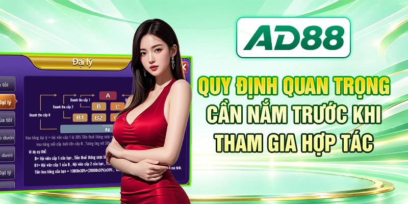 Quy định quan trọng cần nắm trước khi tham gia hợp tác