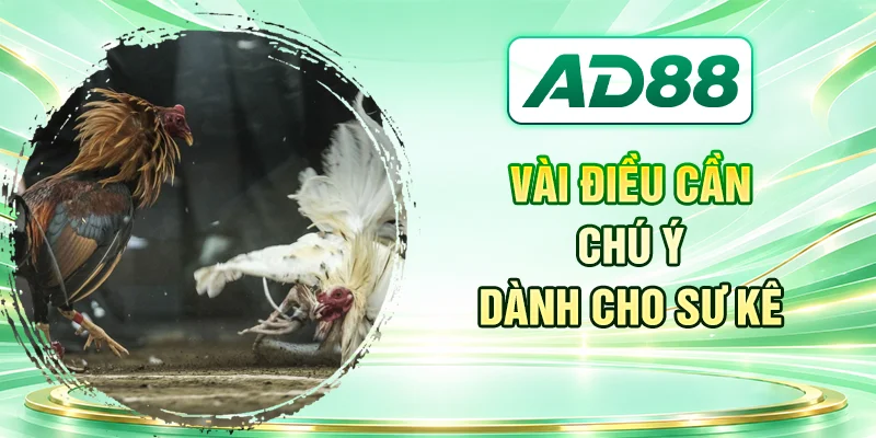 Vài điều cần chú ý dành cho sư kê